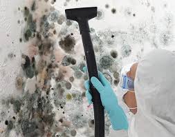 Best Commercial Mold Inspection  in Lowry Crossing, TX